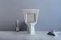 Αμερικανική τυποποιημένη τουαλέτα δύο κομματιού με την 10-ίντσα τραχύς-στο ξέπλυμα σιφωνίων
