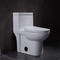 12 ίντσα τραχύς ανατολικό αποχωρητήριο WC παγίδων σιφωνίων S τουαλετών στο ενιαίο επίπεδο