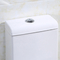 Λευκό 1 ενός κομματιού διπλή επίπεδη παγίδα 300mm τουαλετών S ύψους άνεσης» χοντροδούλεμα 10 μέσα