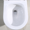 Λευκό 1 ενός κομματιού διπλή επίπεδη παγίδα 300mm τουαλετών S ύψους άνεσης» χοντροδούλεμα 10 μέσα