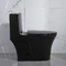 Ο Μαύρος 1 κομμάτι διπλό επίπεδο επιμηκυμένο τουαλέτα Siphonic μεταλλινών τουαλετών λουτρών Iapmo κεραμικό