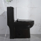 ενός κομματιού τουαλέτα 400mm Siphonic και WC μπιντέδων για το διαμέρισμα βιλών ξενοδοχείων