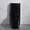 αμερικανική τυποποιημένη μαύρη πορσελάνη τουαλετών 300mm Siphonic ενός κομματιού