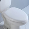 10 ίντσα τραχύς στην ξεπλένοντας τουαλέτα σιφωνίων τουαλετών ύψους άνεσης της Ada γύρω από το μέτωπο