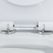 Βερνικωμένη κεραμική διπλή επίπεδη ενός κομματιού τουαλέτα Siphonic 12 ίντσα τραχιά μέσα