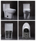 Αμερικανική τυποποιημένη διπλή επίπεδη επιμηκυμένη ενός κομματιού τουαλέτα Cosette σε άσπρα 1,28 Gpf