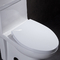 10 ίντσα τραχύς στην τουαλέτα ύψους άνεσης της Ada για το εκτός λειτουργίας rv με την εκροή δύναμης