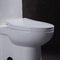 10 ίντσα τραχύς στην τουαλέτα ύψους άνεσης της Ada για το εκτός λειτουργίας rv με την εκροή δύναμης