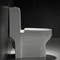 Υποχωρητικό διπλό επίπεδο κάθισμα 1 κομμάτι 1.28gpf/4.8lpf τουαλετών της Ada