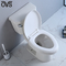 Καλύτερη υποχωρητική Two-Piece τουαλέτα της Ada Washroom με το ισχυρό επίπεδο σύστημα