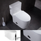 1 συμπαγές επιμηκυμένο WC σιφωνίων κομό τουαλετών ύψους άνεσης κομματιού που ενσωματώνεται