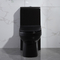 Αμερικανική τυποποιημένη επιμηκυμένη ένα κομμάτι τουαλέτα ψηλό μαύρο 1.6Gpf μικρής ακτινοβολίας
